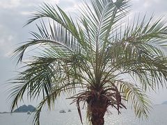 -观海轩餐厅(一线海景店)