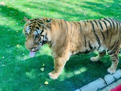 -北京野生动物园