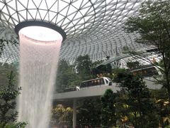 -美珍香(樟宜机场1号航站楼店)