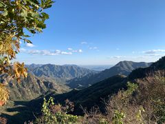 -大岭沟猕猴桃谷风景区