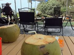 -东郊椰林