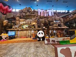 -卡通尼·Safari非洲探索乐园·生日会(金桥国际商业广场店)