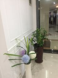 -瑞尼丝国际专业脱毛连锁