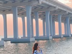 -宝安西湾红树林湿地公园