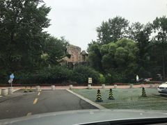 -秦皇岛野生动物园