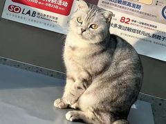 -嘉美宠物医院