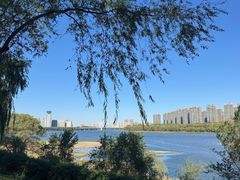 -长白岛森林公园