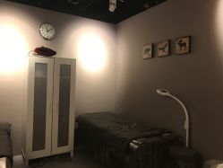 -三只熊皮肤管理中心