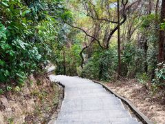 -火炉山森林公园