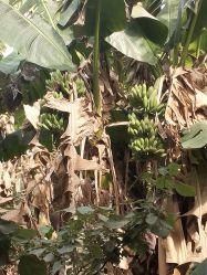 点击看大图 -云湖游乐园