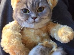 iphone_upload_pic-广州迷途主题旅馆(海珠广场店)