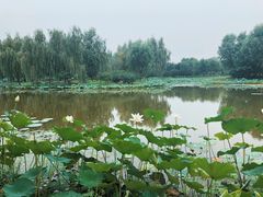 -东郊湿地公园