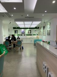点击看大图 -大树儿童摄影