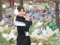 -洛阳白云山景区