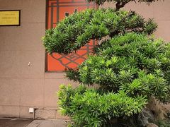 -湖畔居茶楼(湖滨店)