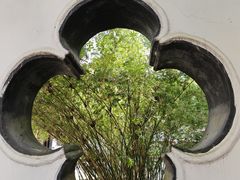 -上海醉白池公园