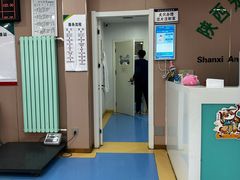 -天使宠物医院·犬猫分诊(彩虹店)