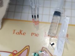 -美联众合动物医院(·中兽医·疑难杂症·严家桥分院)