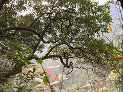 -青城山
