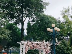 -南湖梦幻岛