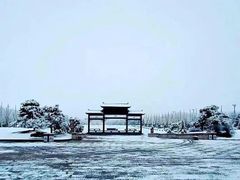 -仓颉庙