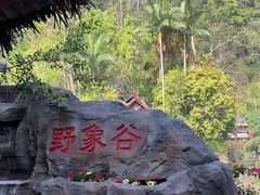 -野象谷景区