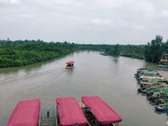 -东寨港红树林旅游区