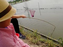 -梁鸿国家湿地公园