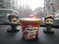 -哈根达斯(武汉天地店)