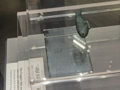 -隋唐大运河文化博物馆