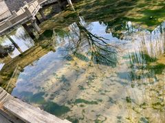 游乐设施-晋祠博物馆