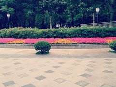 -后襄河公园