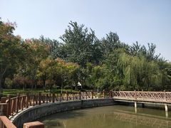 -张店儿童公园