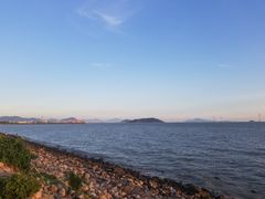 -宝安西湾红树林湿地公园