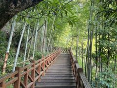 -明月山风景名胜区