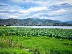 -大理洱海