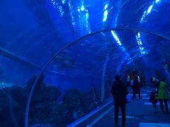 -成都浩海立方海洋公园