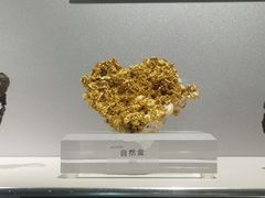 -中国地质博物馆