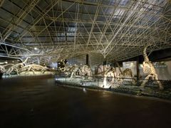 -世界恐龙谷景区