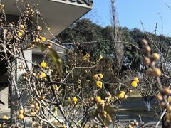 -汉陵苑