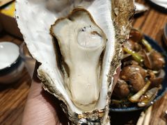 -蚝堡海鲜·威海菜·海肠捞饭·烧烤·亚洲吃蚝公司(幸福门店)
