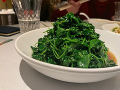 五粮液嫩豆苗-玫瑰厅上海菜(兴国路店)