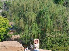 -赵州桥景区