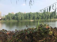 -西安汉城湖景区