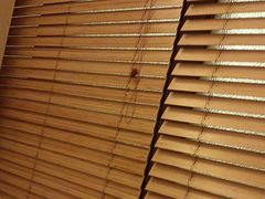 -艺水间水汇