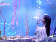 -沈阳海洋探索中心