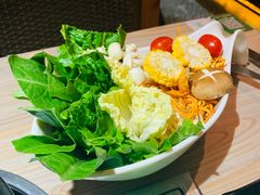 -探窝·竹笙椰子鸡(杨箕店)