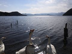 -泸沽湖里格半岛