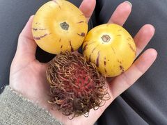 -第六季自助餐厅(甜水园店)