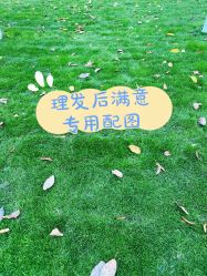 点击看大图 -HD HAIR STYLE